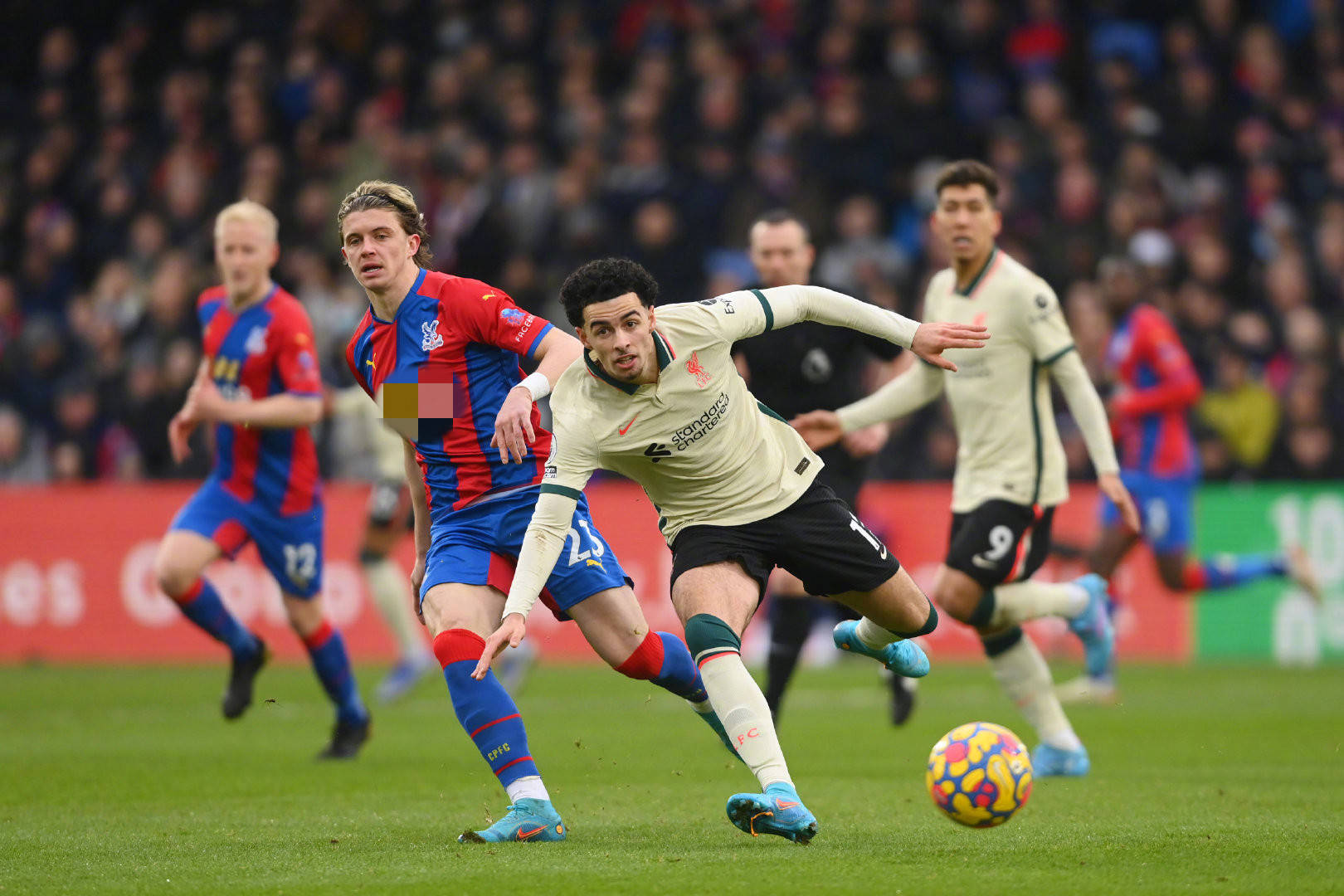 因为他们更 因为他们更